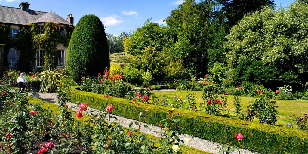 Pathway in garden with flowers