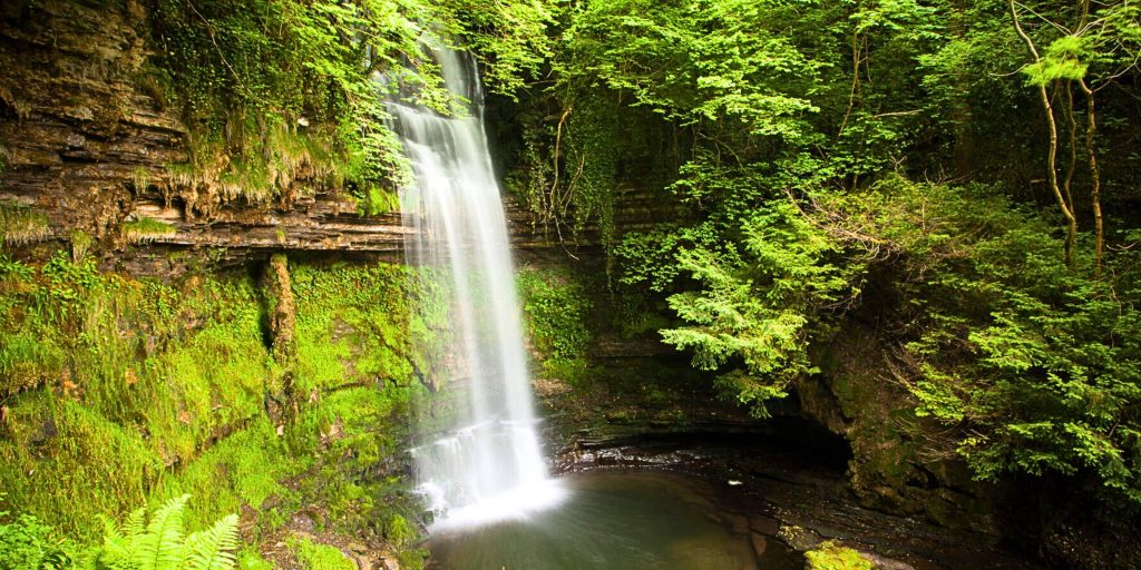 Waterfall surrounded by greenery