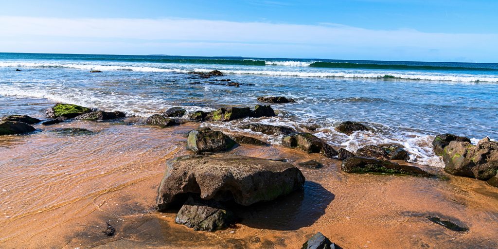 Sandy beach shore