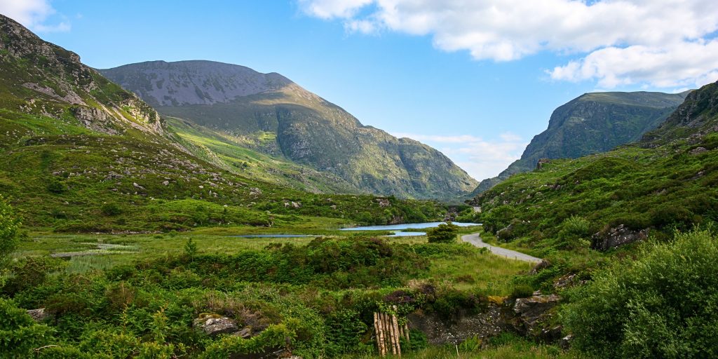 Kerry green fields