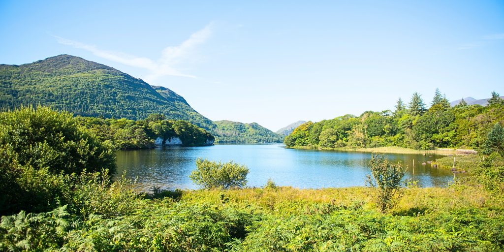 National park in Killarney