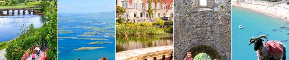 Activities in Mayo