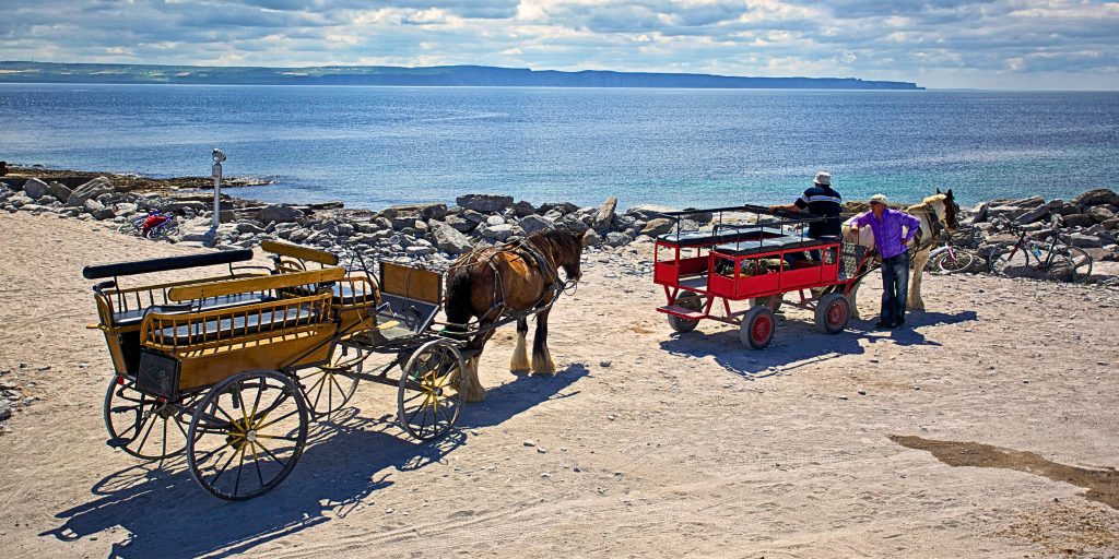 Tourist and local with a horse and cart