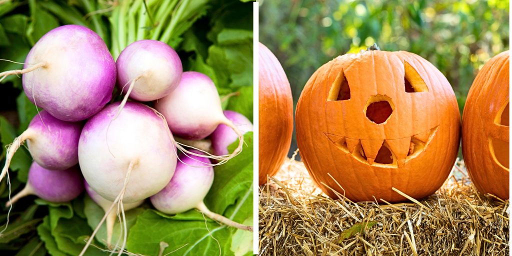Split image of turnips and halloween pumpkin