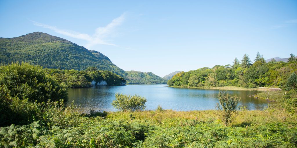 Lake on a sunny day in Killarney National Park