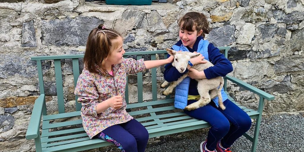 Two kids sitting on a bench petting a lamb